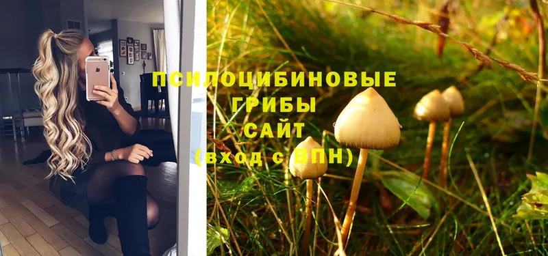 Псилоцибиновые грибы MAGIC MUSHROOMS Кондрово